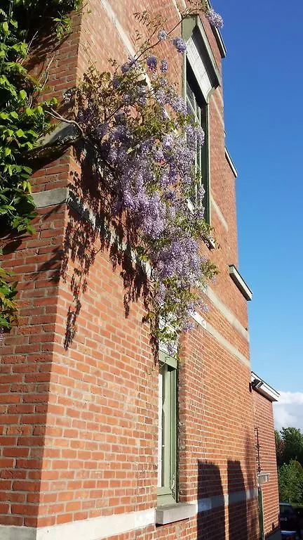Bed & Breakfast B&B Fine Fleur Bruggy