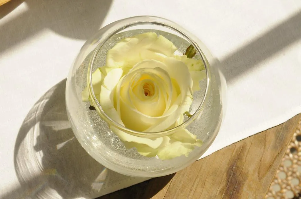 B&B Fine Fleur Μπριζ